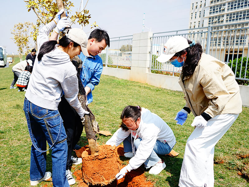心系公益 生生不息 | 植绿护蓝，共筑生态家园的F6福鹿会力量